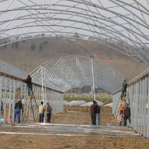 搭建大棚 搭建大棚